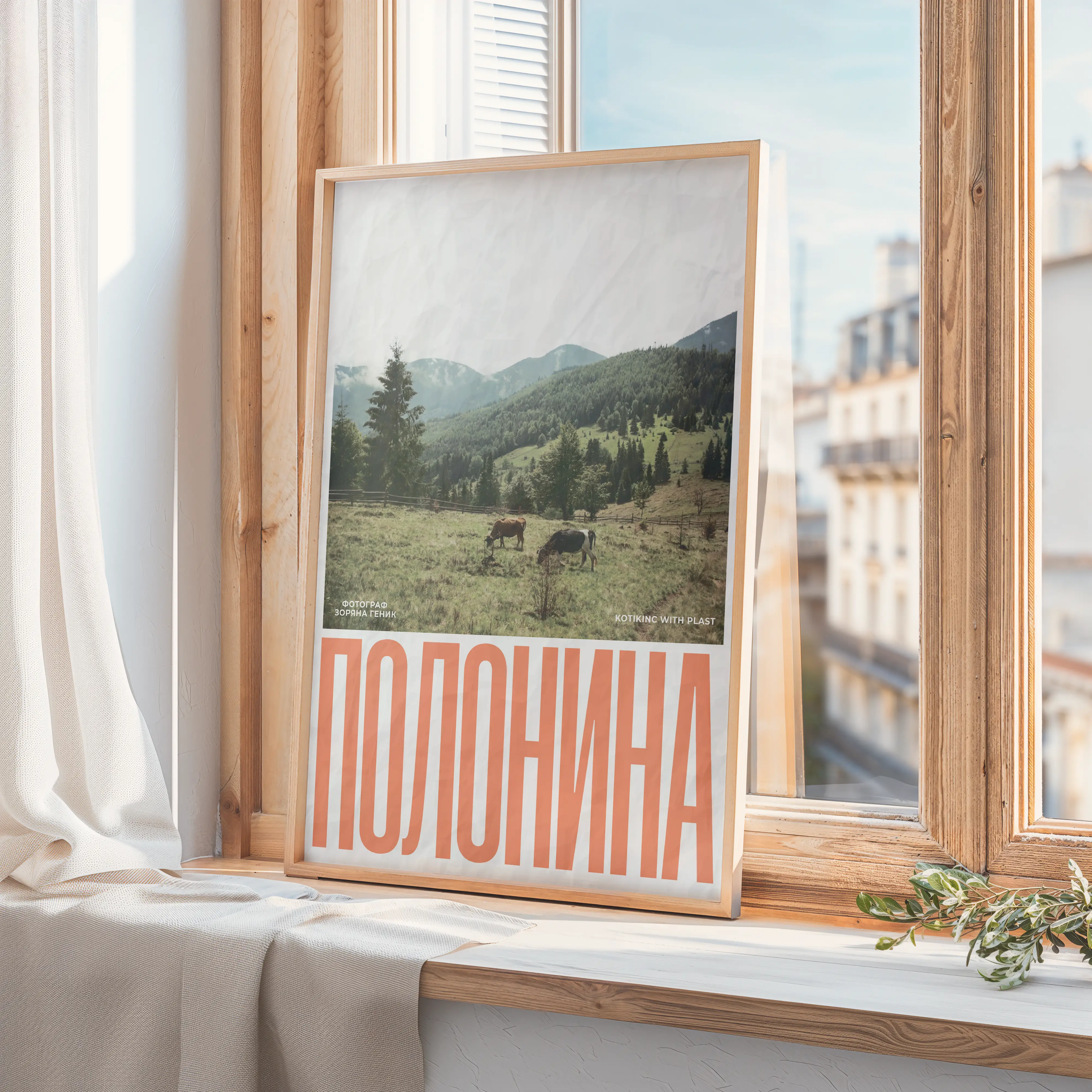 Постер Полонина