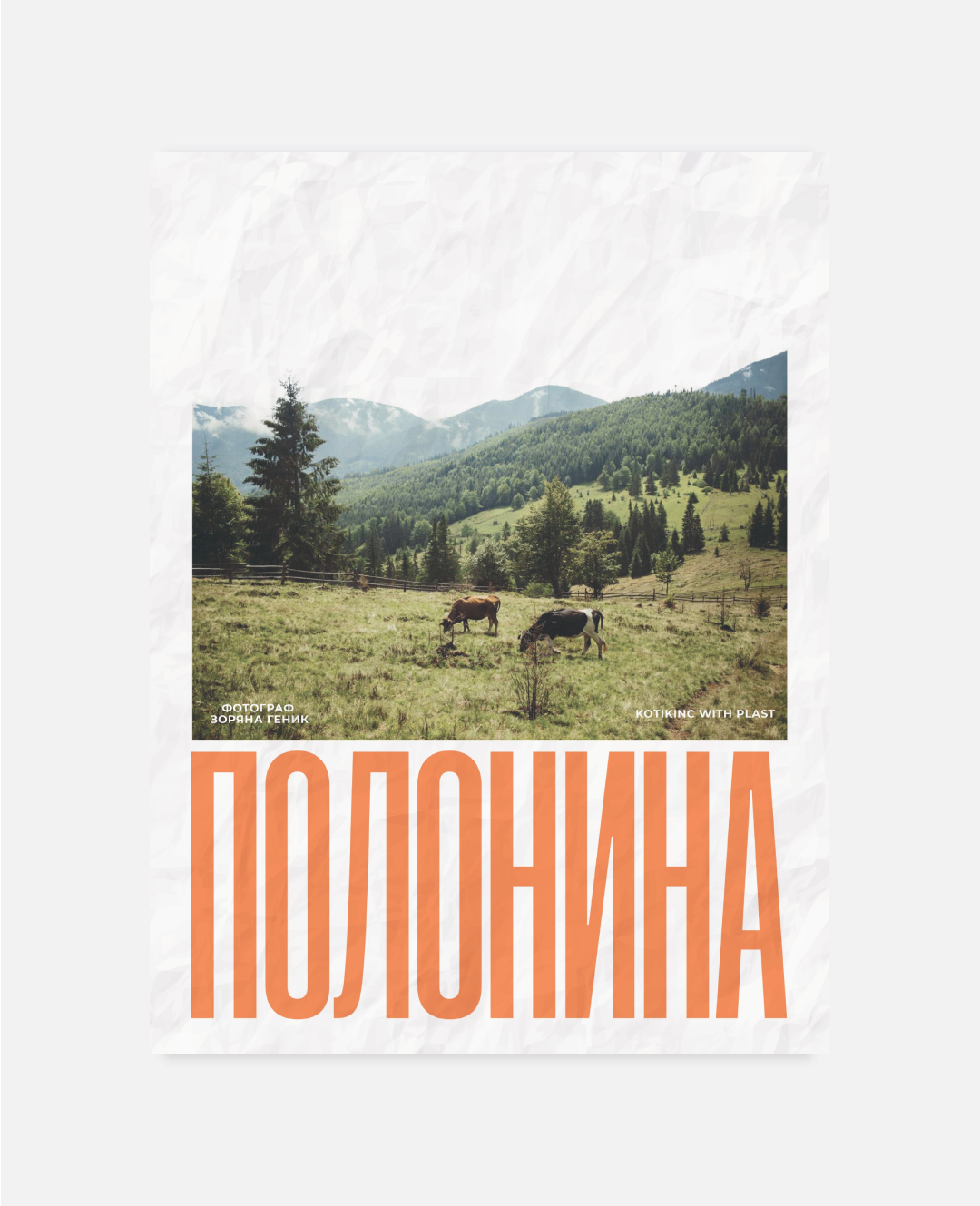 Постер Полонина