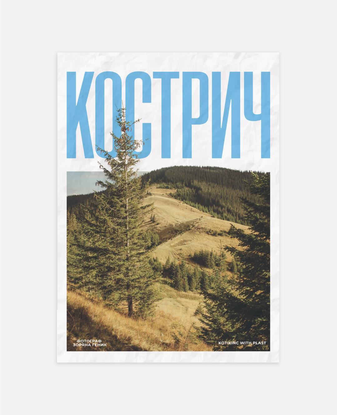 Постер Кострич