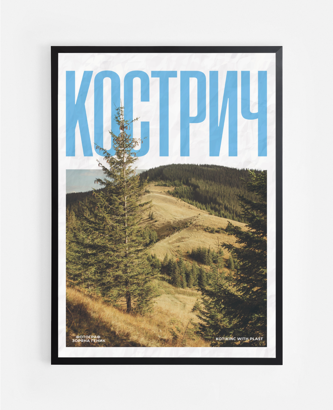 Постер Кострич