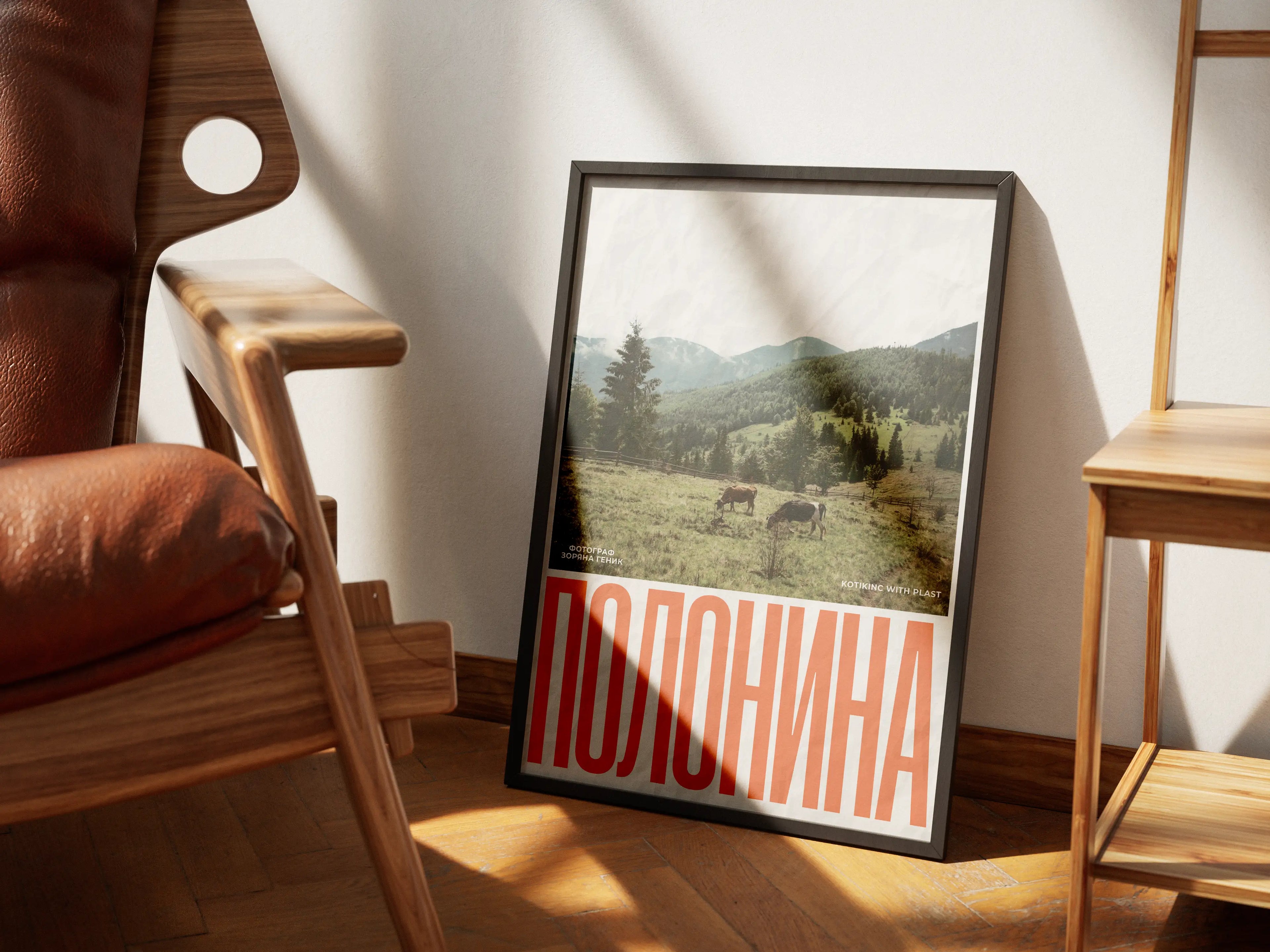 Постер Полонина