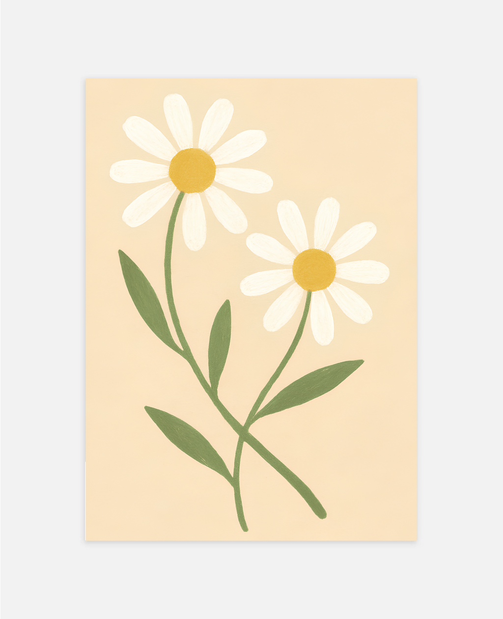 Daisy Field