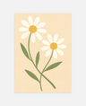 Daisy Field