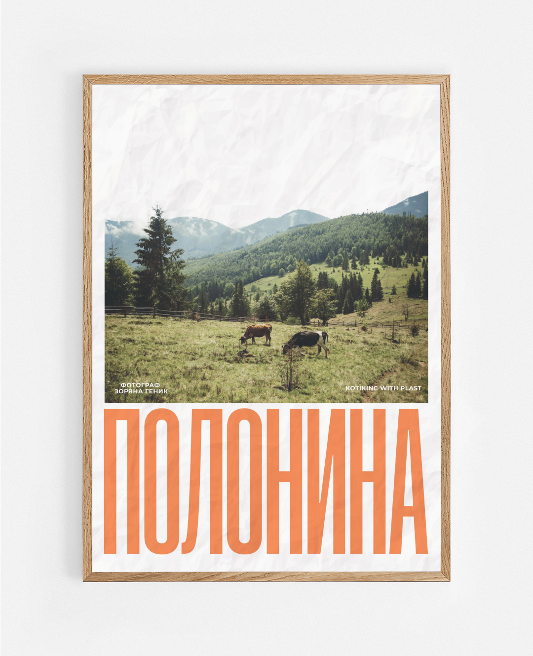 Постер Полонина