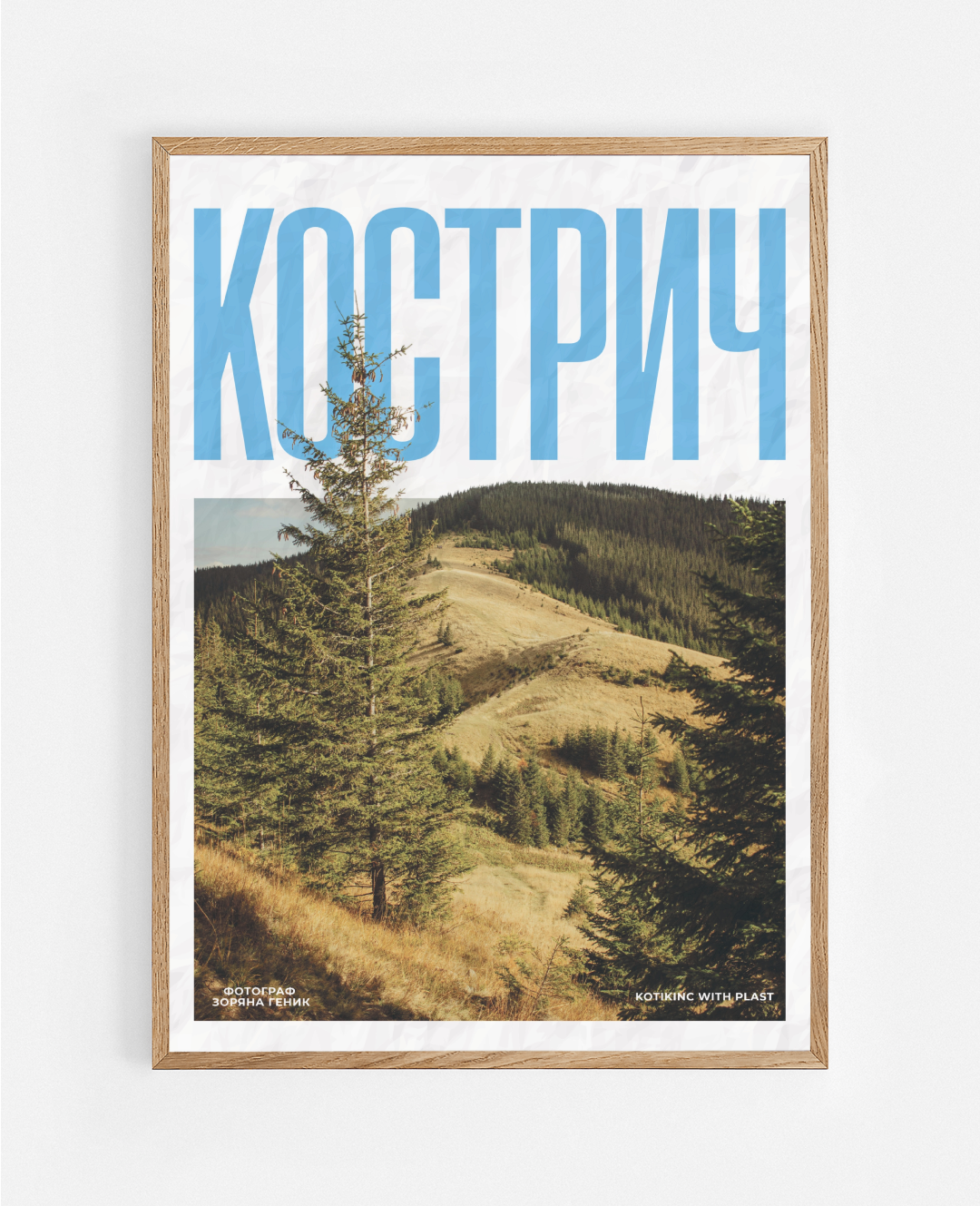 Постер Кострич