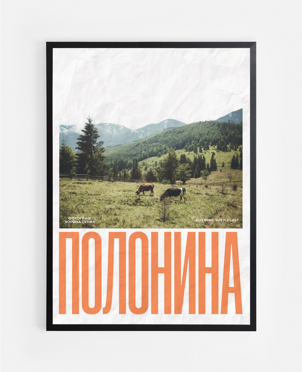 Постер Полонина