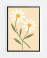 Daisy Field