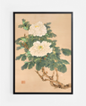 Elegance in Bloom
