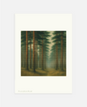Forest of Quiet Breath