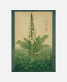Green Oracle