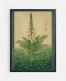 Green Oracle
