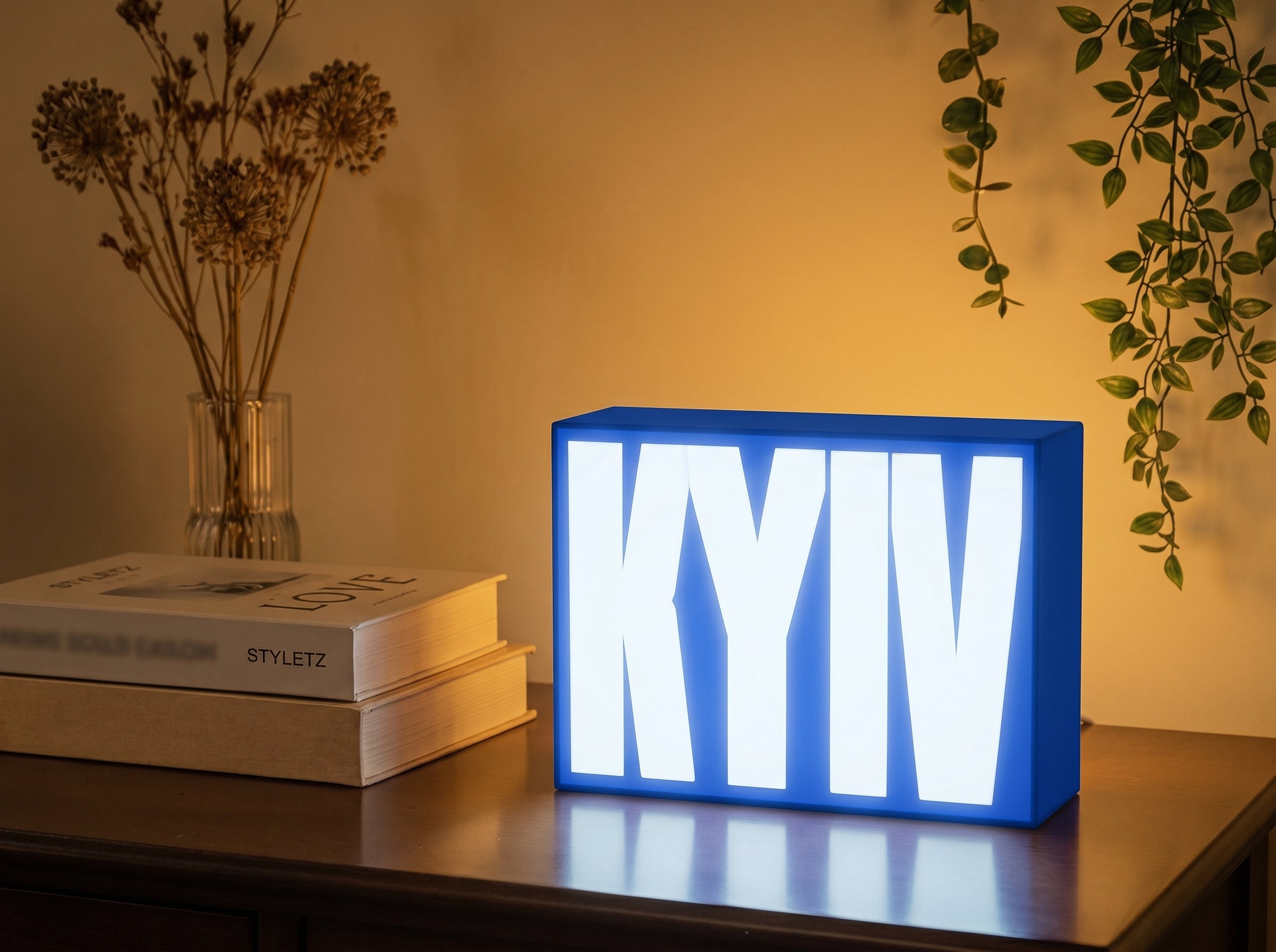 Kyiv Light Box Lamp